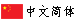 简体中文